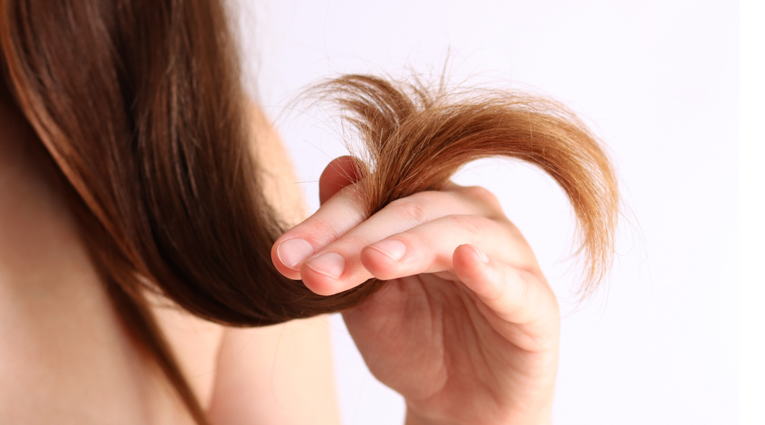 beschadigd haar herstellen