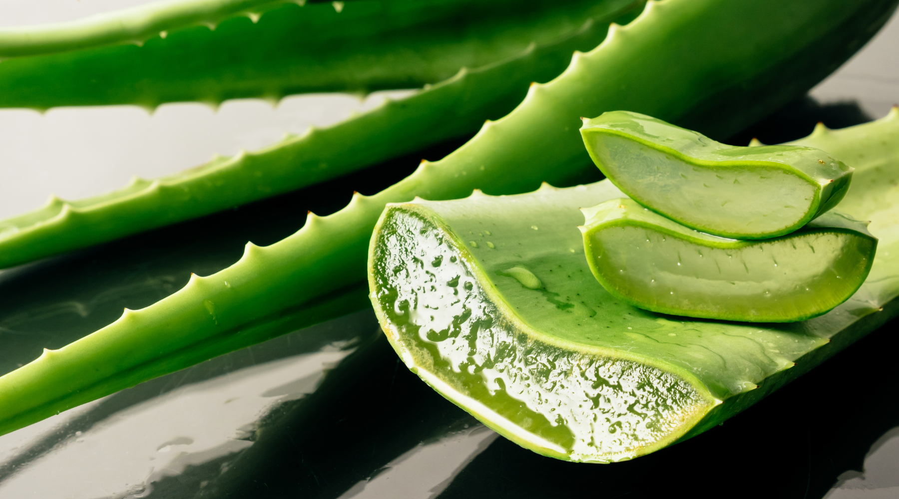 Aloë vera: waarom deze plant een wondermiddel is voor je huid én haar